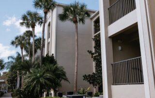 Interior Painting Transformation