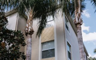 Interior Painting Transformation