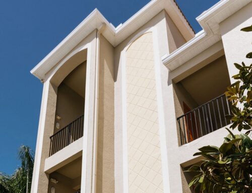 The Influence of International Paint Trends on Local Design Choices