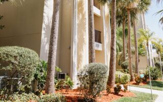 sarasota residential painting